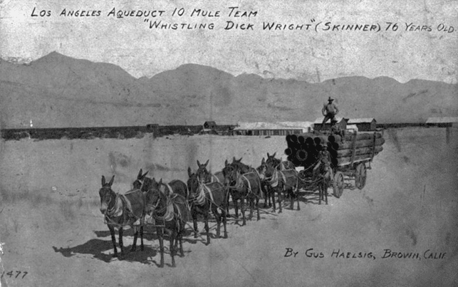 (1912)* - Early postcard depicting 10 mule team hauling equipment during aqueduct construction.