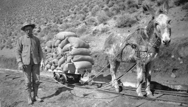 (1908)* - View of a worker with mule-drawn small rail car transporting cement to a construction site.