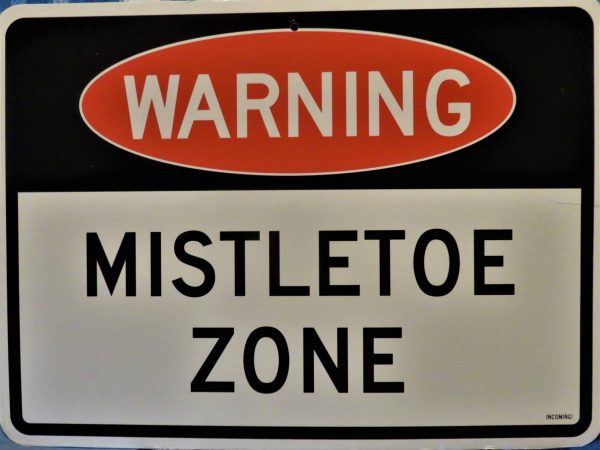 Mistletoe Zone/Naughty and Nice Sign